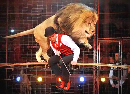src=http___www.chinanews.com.cn_2012_1113_2012111310436.jpg&refer=http___www.chinanews.com_看图王.web.jpg